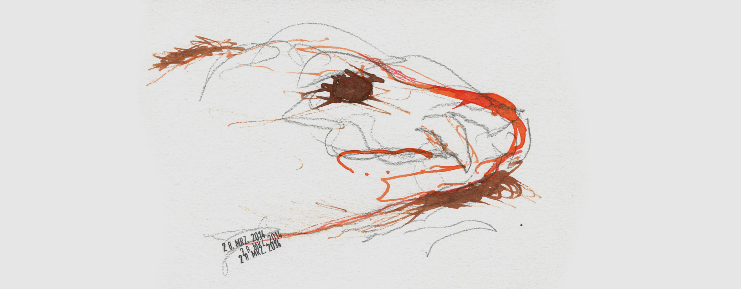 Achim Anders Zeichnung Kopf eines Seehundes, Bleistift und farbige Tusche